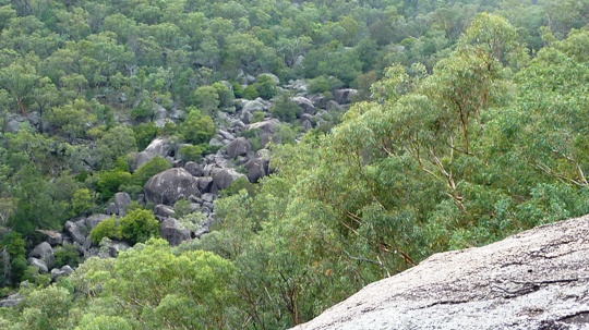 Boulder strewn section of Upper Moore Creek below the dam